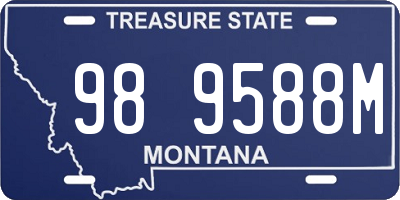 MT license plate 989588M