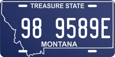 MT license plate 989589E