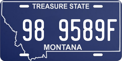 MT license plate 989589F