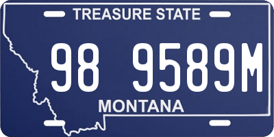 MT license plate 989589M