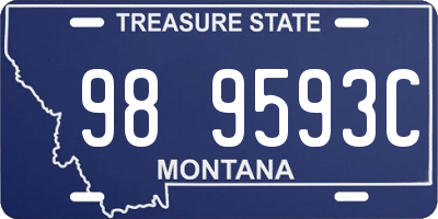 MT license plate 989593C