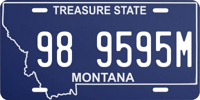 MT license plate 989595M