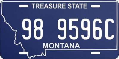 MT license plate 989596C