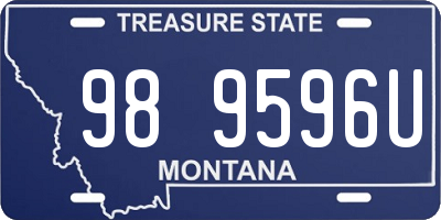 MT license plate 989596U