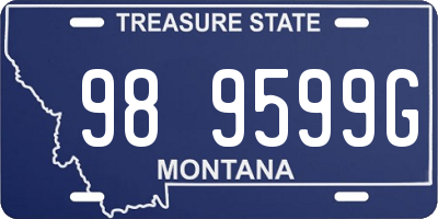 MT license plate 989599G