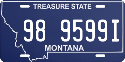 MT license plate 989599I