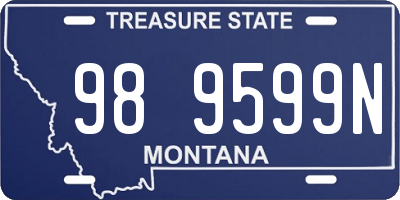 MT license plate 989599N