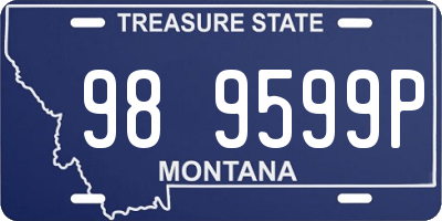MT license plate 989599P