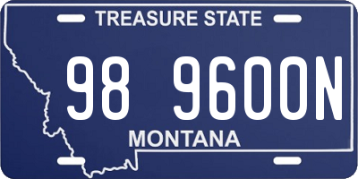 MT license plate 989600N