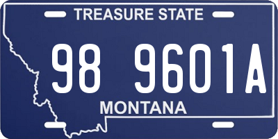 MT license plate 989601A