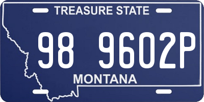 MT license plate 989602P