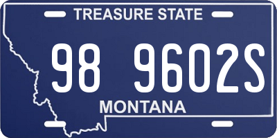 MT license plate 989602S