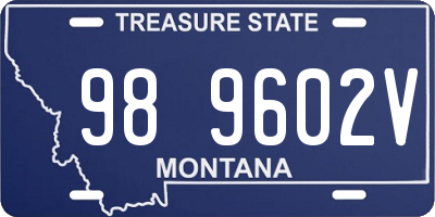 MT license plate 989602V