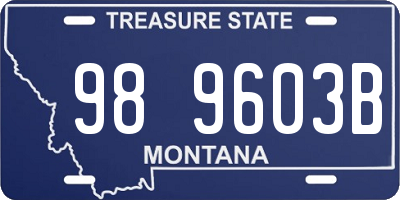 MT license plate 989603B
