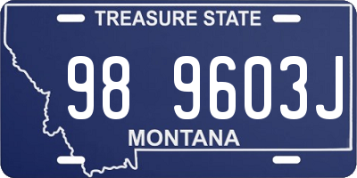 MT license plate 989603J