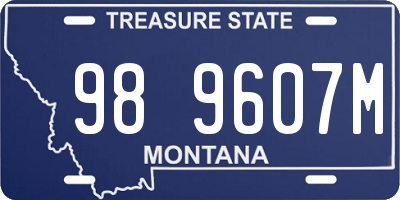 MT license plate 989607M