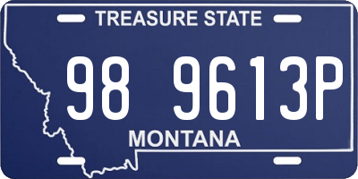 MT license plate 989613P