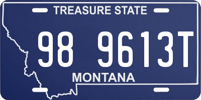 MT license plate 989613T