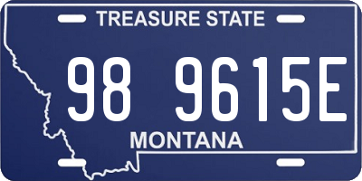 MT license plate 989615E