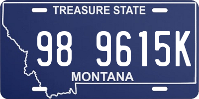 MT license plate 989615K