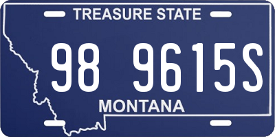 MT license plate 989615S