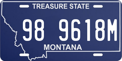 MT license plate 989618M