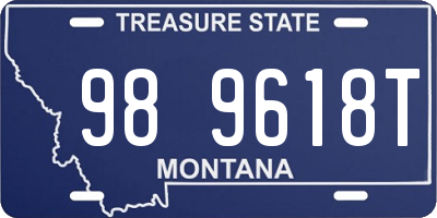 MT license plate 989618T