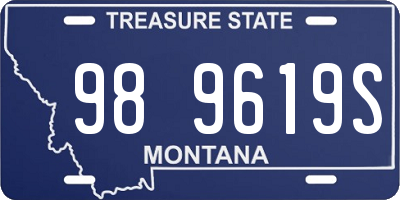 MT license plate 989619S