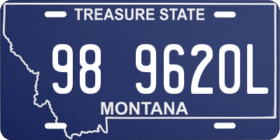 MT license plate 989620L
