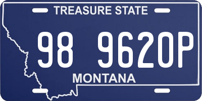 MT license plate 989620P