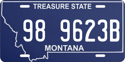 MT license plate 989623B