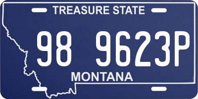 MT license plate 989623P