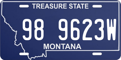 MT license plate 989623W