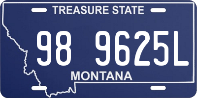 MT license plate 989625L