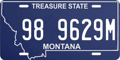 MT license plate 989629M