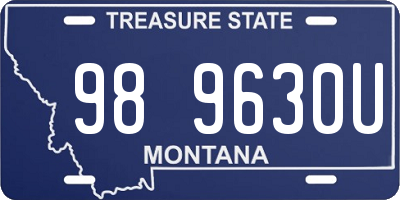 MT license plate 989630U