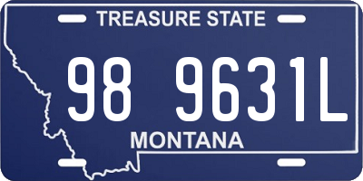 MT license plate 989631L