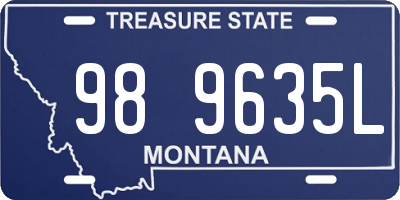 MT license plate 989635L