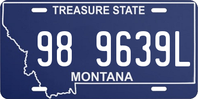 MT license plate 989639L