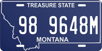 MT license plate 989648M