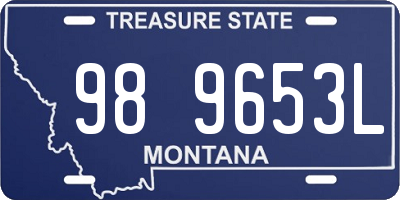 MT license plate 989653L