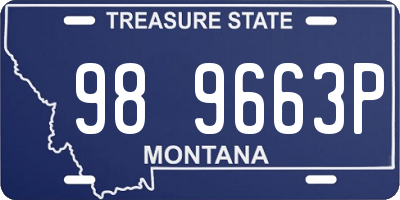 MT license plate 989663P