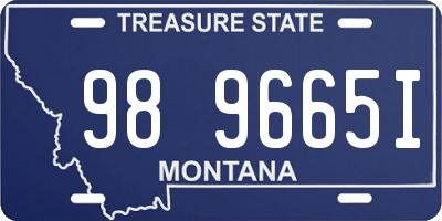 MT license plate 989665I