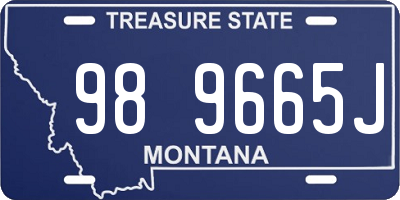 MT license plate 989665J