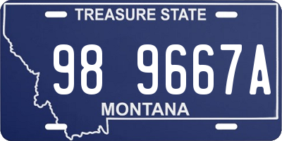 MT license plate 989667A