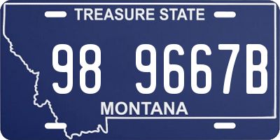 MT license plate 989667B