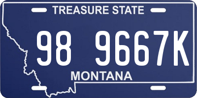 MT license plate 989667K