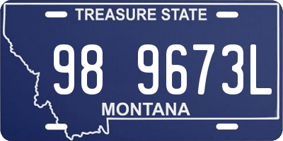 MT license plate 989673L