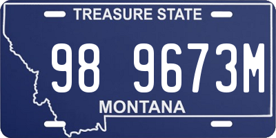 MT license plate 989673M