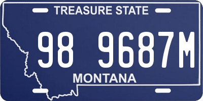MT license plate 989687M